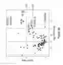Fig. 19 - Combination therapy of acellular pro-tolerogenic and pro-inflammatory preparations for modulating the immune system