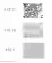 Fig. 06 - Fibrosis-causing agent