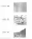 Fig. 09 - Fibrosis-causing agent