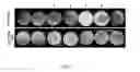 Fig. 08 - Methods and Genetic Systems for Cell Engineering