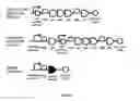 Fig. 11 - Methods and Genetic Systems for Cell Engineering