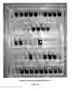 Fig. 08 - Porcine lactic acid bacterial strains