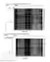 Fig. 23 - Porcine lactic acid bacterial strains