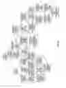 Fig. 24 - Porcine lactic acid bacterial strains