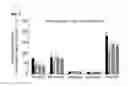 Fig. 08 - Pharmaceutical composition for preventing or treating asthma comprising J. Poiss. ex Franch extract or fraction thereof