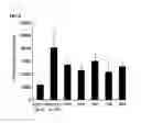 Fig. 09 - Pharmaceutical composition for preventing or treating asthma comprising J. Poiss. ex Franch extract or fraction thereof