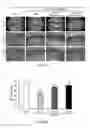 Fig. 03 - Combination therapy for ameliorating adverse side effects caused by chemotherapy