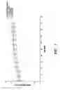 Fig. 02 - COMPOSITIONS AND METHODS FOR OCULAR DELIVERY OF A THERAPEUTIC AGENT