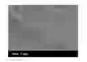 Fig. 01 - POLARIZED HYDROXYAPATITE FILMS AND METHODS OF MAKING AND USING SAME
