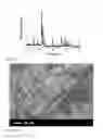 Fig. 10 - POLARIZED HYDROXYAPATITE FILMS AND METHODS OF MAKING AND USING SAME