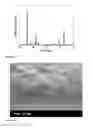 Fig. 11 - POLARIZED HYDROXYAPATITE FILMS AND METHODS OF MAKING AND USING SAME