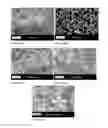 Fig. 22 - POLARIZED HYDROXYAPATITE FILMS AND METHODS OF MAKING AND USING SAME