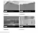 Fig. 24 - POLARIZED HYDROXYAPATITE FILMS AND METHODS OF MAKING AND USING SAME