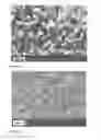 Fig. 27 - POLARIZED HYDROXYAPATITE FILMS AND METHODS OF MAKING AND USING SAME