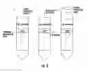 Fig. 03 - Engineered cardiac derived compositions and methods of use