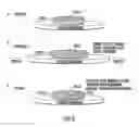 Fig. 04 - Engineered cardiac derived compositions and methods of use