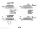 Fig. 05 - Engineered cardiac derived compositions and methods of use