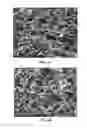 Fig. 09 - Collagen scaffolds, medical implants with same and methods of use