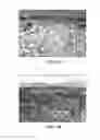 Fig. 17 - Collagen scaffolds, medical implants with same and methods of use