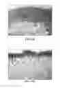 Fig. 22 - Collagen scaffolds, medical implants with same and methods of use