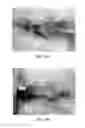 Fig. 30 - Collagen scaffolds, medical implants with same and methods of use