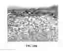 Fig. 32 - Collagen scaffolds, medical implants with same and methods of use