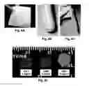 Fig. 05 - Methods for preparation of a terminally sterilized hydrogel derived from extracellular matrix