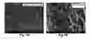 Fig. 08 - Methods for preparation of a terminally sterilized hydrogel derived from extracellular matrix
