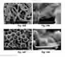 Fig. 15 - Methods for preparation of a terminally sterilized hydrogel derived from extracellular matrix