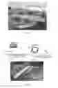 Fig. 11 - Activation of antimicrobial agents