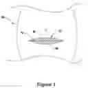 Fig. 02 - WOUND THERAPY
