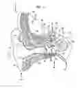 Fig. 02 - Treatment of the ear