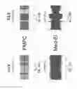 Fig. 25 - Methods of frequency-modulated phase coding (FMPC) for cochlear implants and cochlear implants applying same