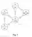 Fig. 02 - Aesthetic methods of biological structure treatment by magnetic field