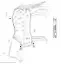 Fig. 08 - COPPER AND MAGNETIC THERAPY DEVICE
