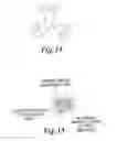Fig. 15 - Plasmonic assisted systems and methods for interior energy-activation from an exterior source