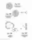 Fig. 17 - Plasmonic assisted systems and methods for interior energy-activation from an exterior source