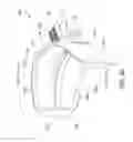 Fig. 21 - Oral treatment device
