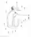 Fig. 22 - Oral treatment device