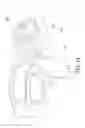 Fig. 24 - Oral treatment device