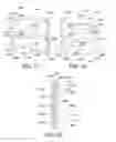 Fig. 12 - Oral treatment device