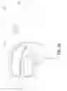 Fig. 25 - Oral treatment device