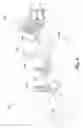Fig. 06 - Oral treatment device