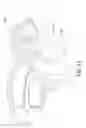 Fig. 24 - Oral treatment device