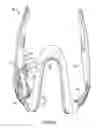Fig. 13 - METHOD AND APPARATUS FOR TOOTH REGULATION WITH HEAVY FORCES