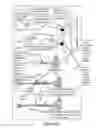 Fig. 37 - SYSTEMS AND METHODS FOR TREATING DERMATOLOGICAL IMPERFECTIONS