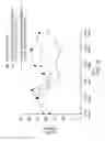 Fig. 10 - Apparatus and method for influencing a condition in a subject