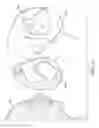 Fig. 06 - Respirator Seals