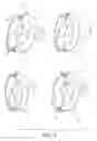 Fig. 08 - Respirator Seals