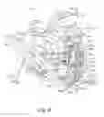 Fig. 09 - Exercise apparatus